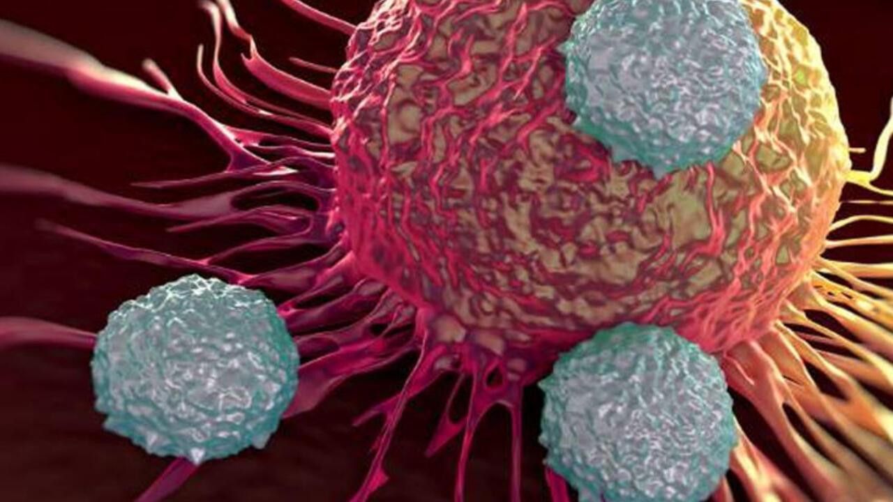 Sağlıkta çığır açacak gelişme! Kanserli hücreyi yok edecek