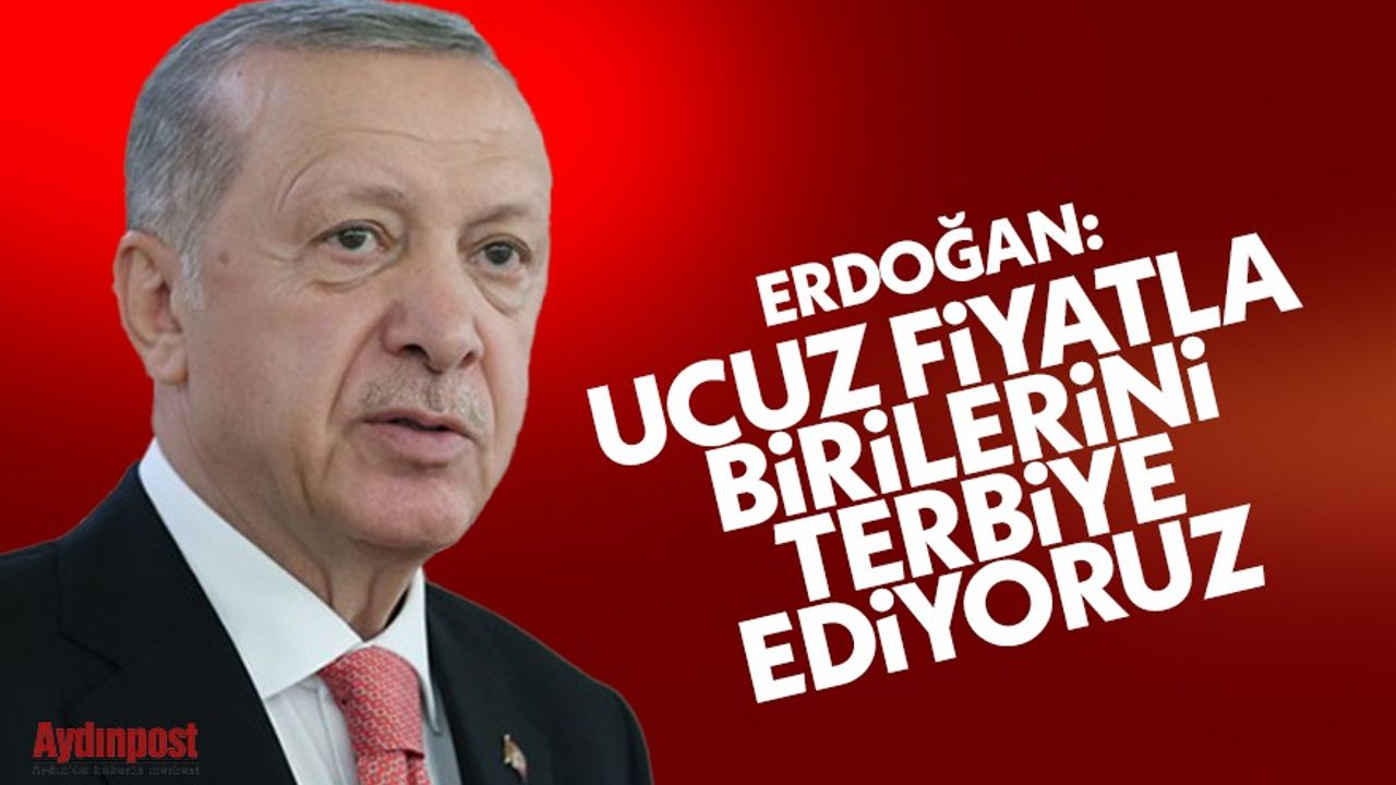 Erdoğan: Ucuz fiyatla birilerini terbiye ediyoruz