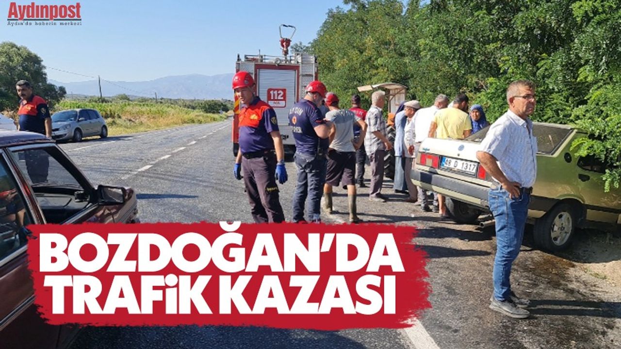 Bozdoğan'da trafik kazası