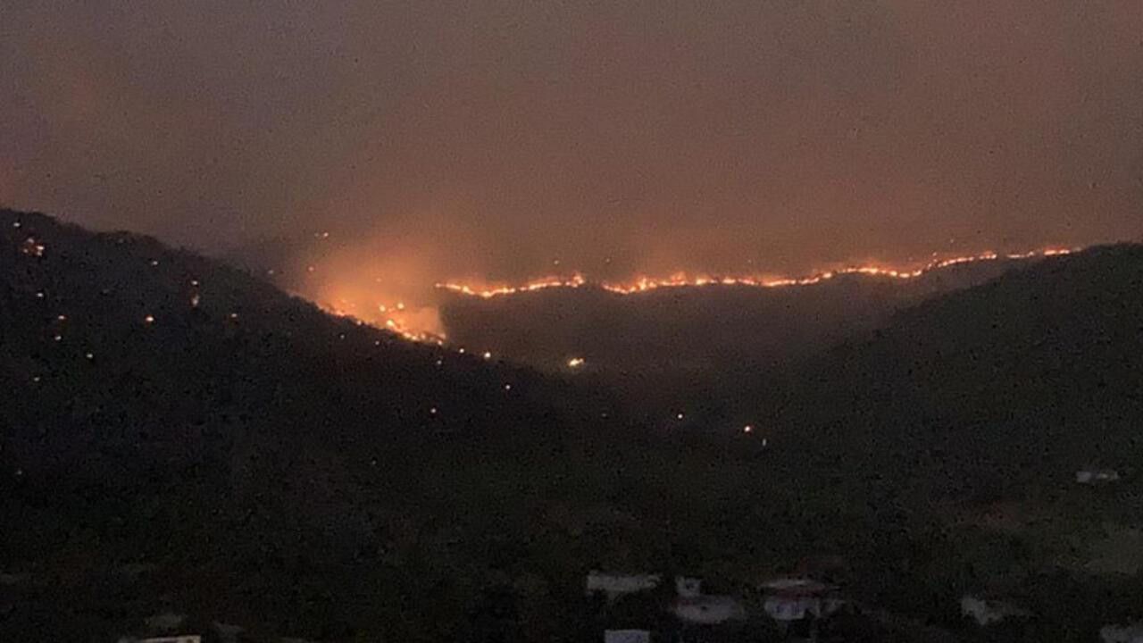 Mersin’de orman yangını! Alevler geceyi aydınlattı