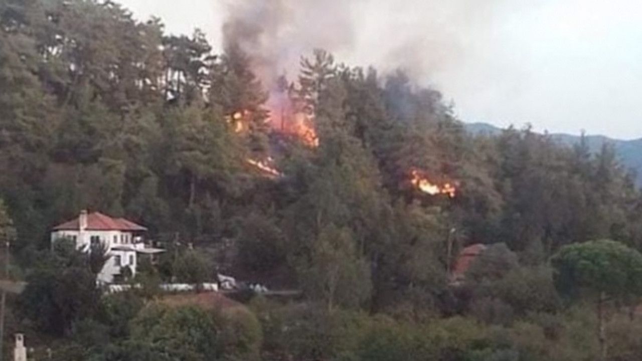 Muğla Ula ilçesinde orman yangını