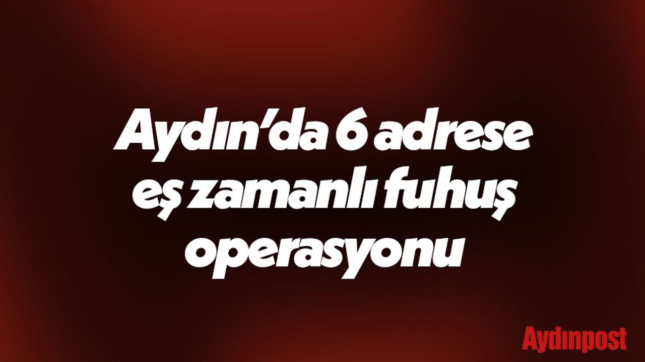 Aydın’da 6 adrese eş zamanlı fuhuş operasyonu: 7 gözaltı