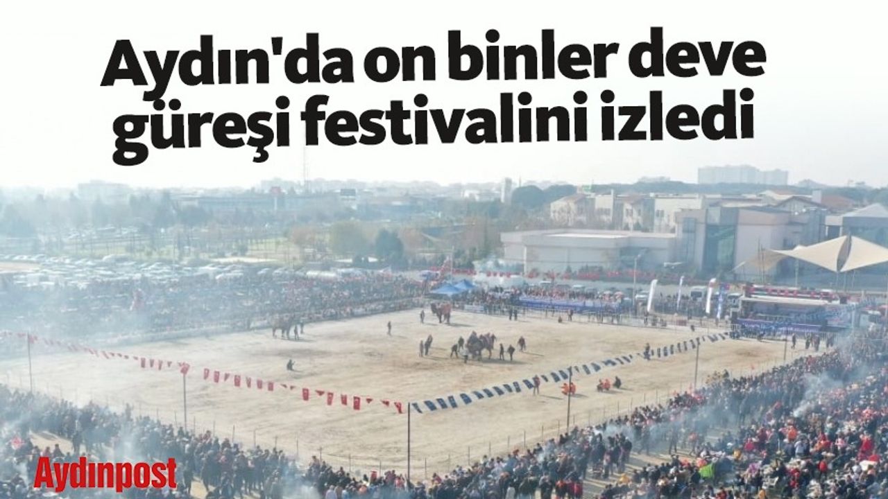 Aydın'da on binler deve güreşi festivalini izledi