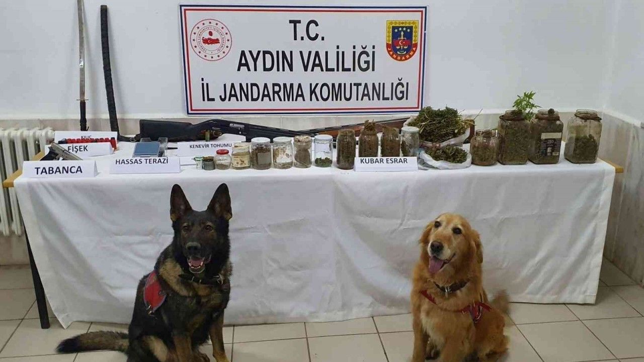 Aydın'da 1 haftada 2 kilo uyuşturucu ele geçirildi