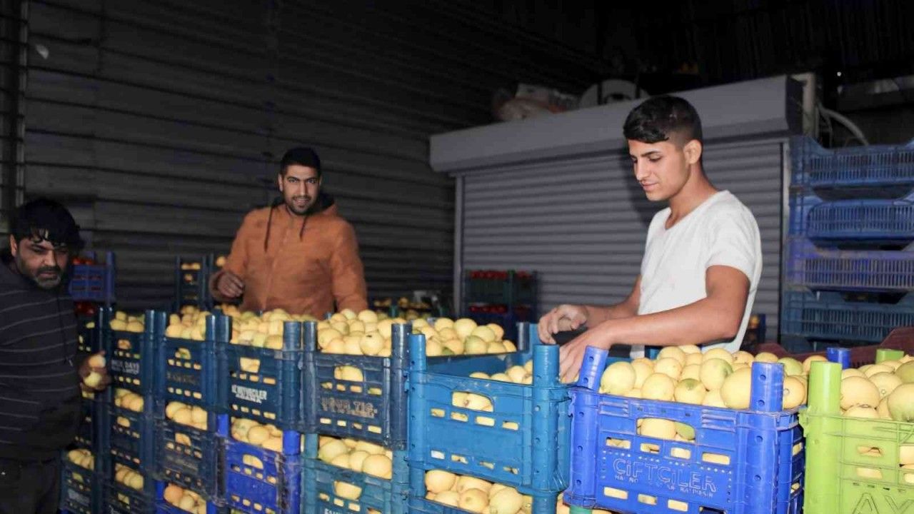 Aydın’da pazarların en rağbet gören ürünü limon oldu