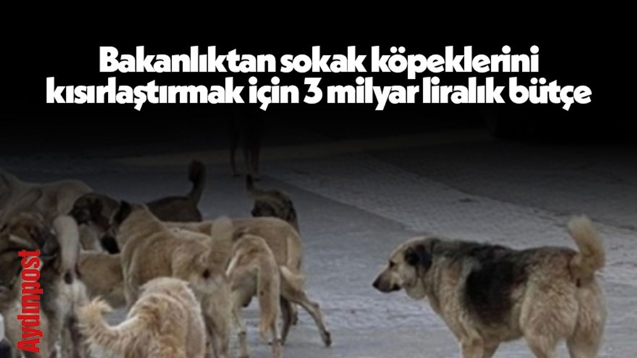 Bakanlıktan sokak köpeklerini kısırlaştırmak için 3 milyar liralık bütçe
