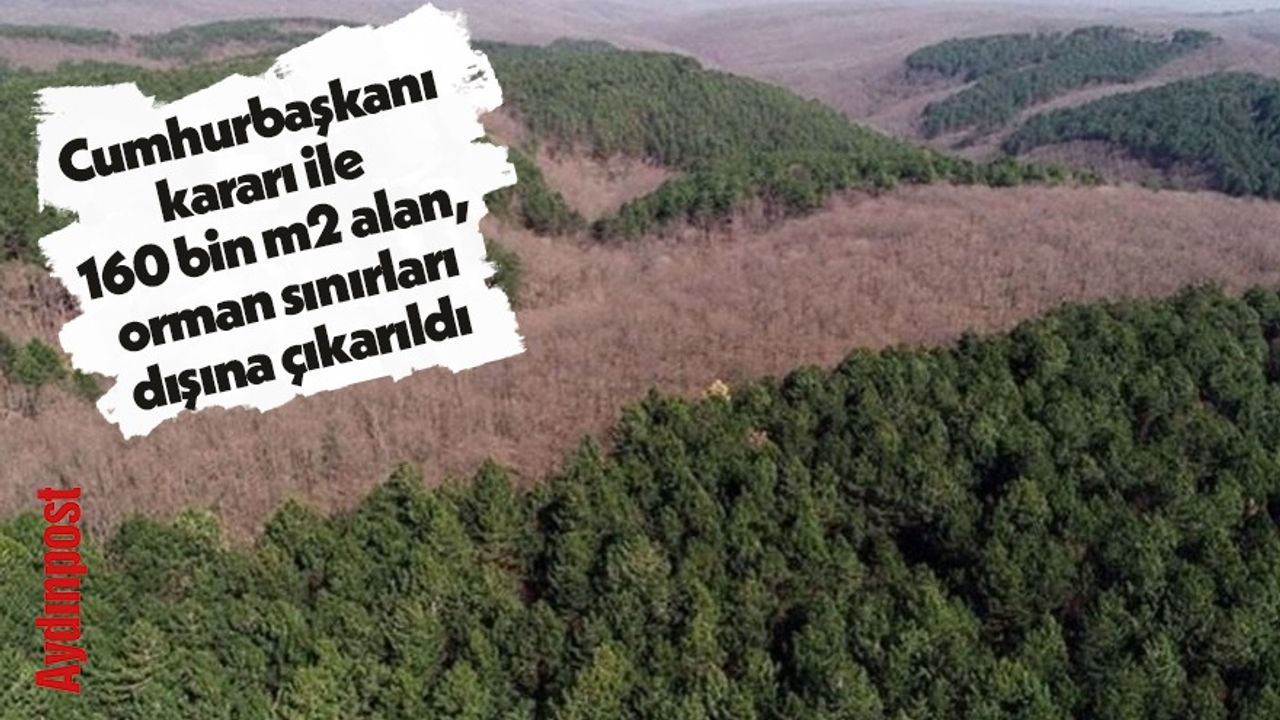 Cumhurbaşkanı kararı ile 160 bin m2 alan, orman sınırları dışına çıkarıldı