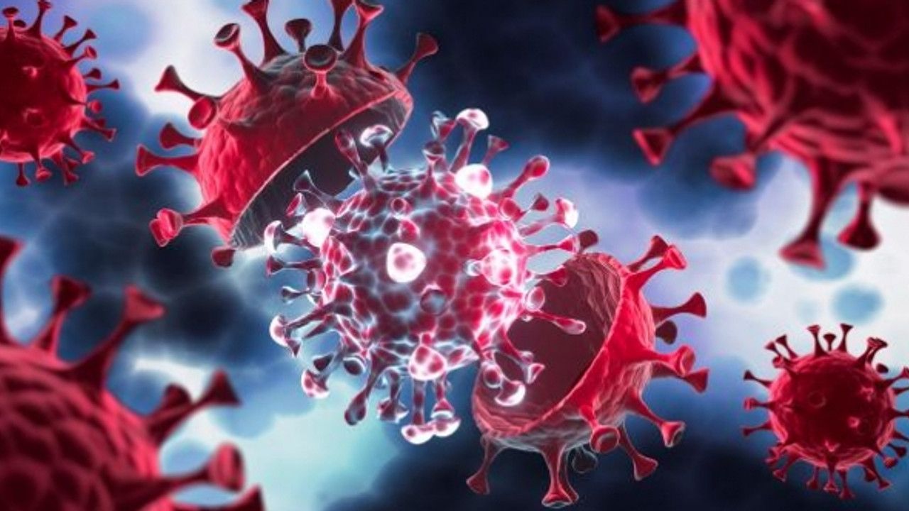 DSÖ koronavirüs pandemisi için tarih verdi
