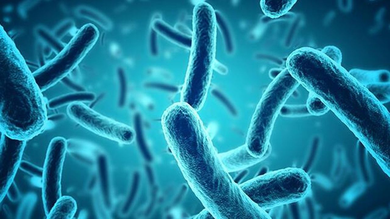 Strep A belirtileri neler, bakteri hangi hastalıklara yol açıyor?