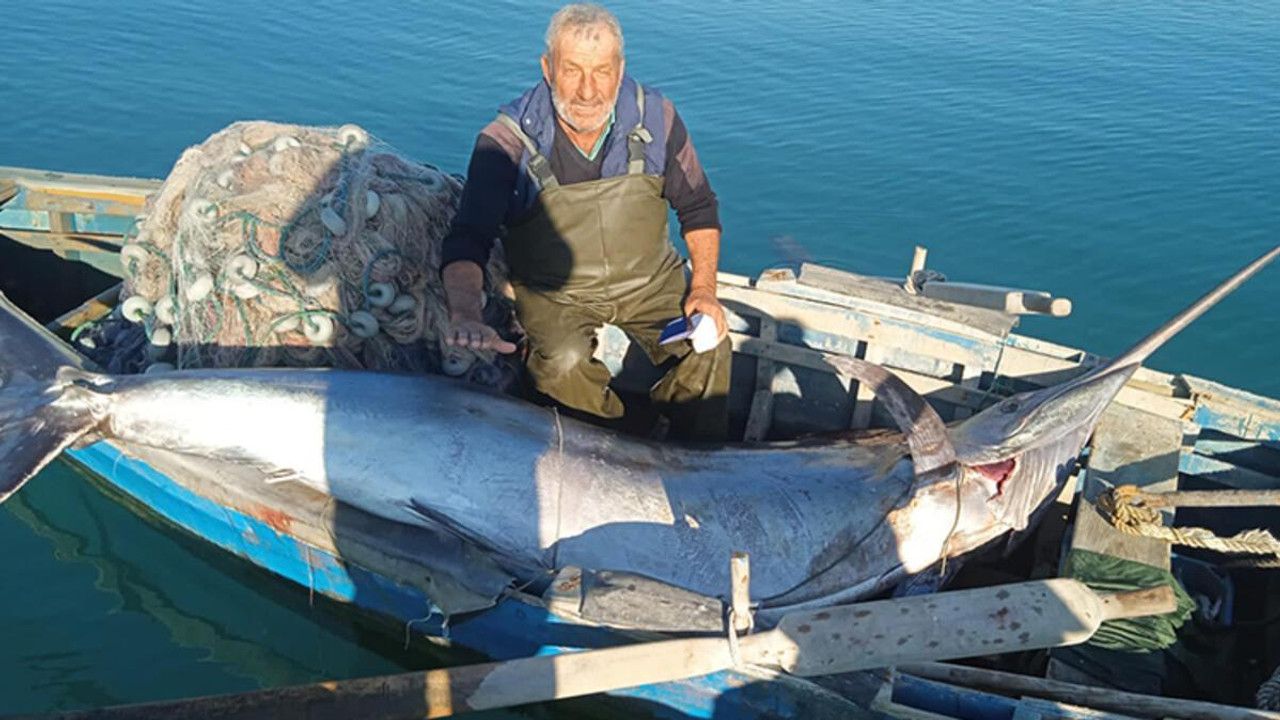 Türkiyede ilk kez yakalandı! Tam 274 kilo ağırlığında: Müthiş kıymetli bir balık
