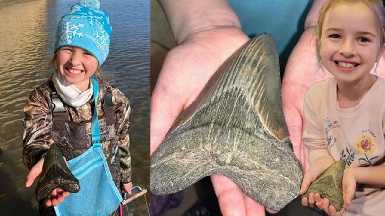 ABD’li küçük kız, sahilde Megalodon köpekbalığının dişini buldu