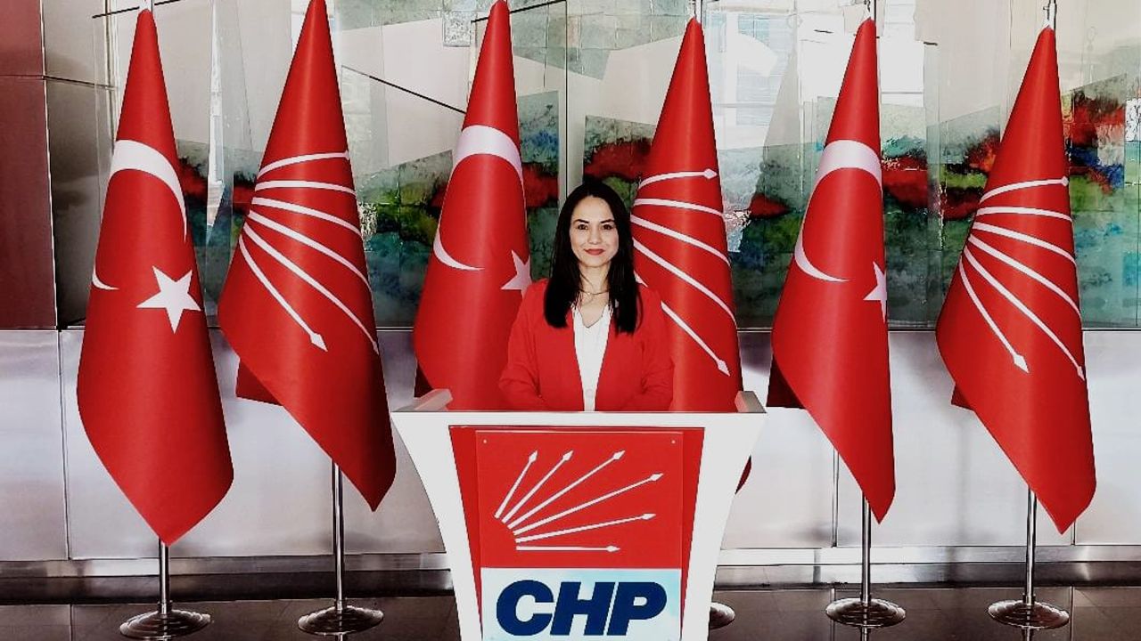 Germencik CHP'de yaprak dökümü sürüyor! Kadın kolları başkanı Pelin Çavdarlı istifa etti