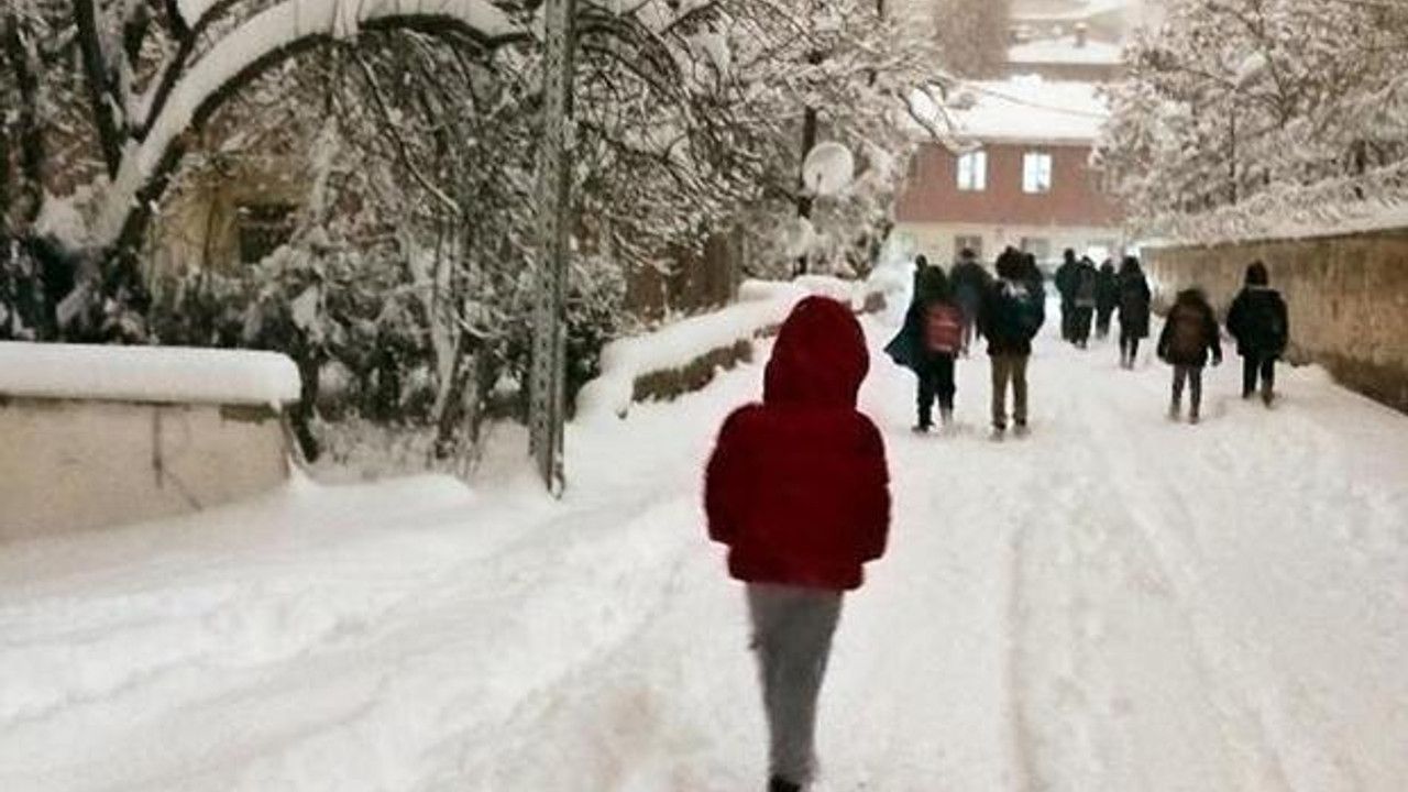 Van'da kar yağışı: 3 ilçede taşıma kapsamındaki okullar tatil