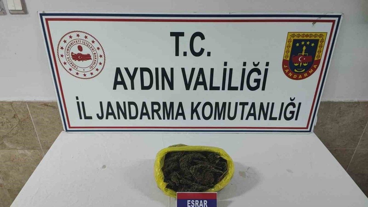 Aydın'da jandarma ekipleri yarım kilo esrar yakaladı