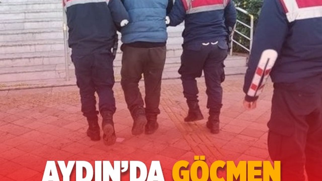 Aydın’da göçmen kaçakçısı yakalandı