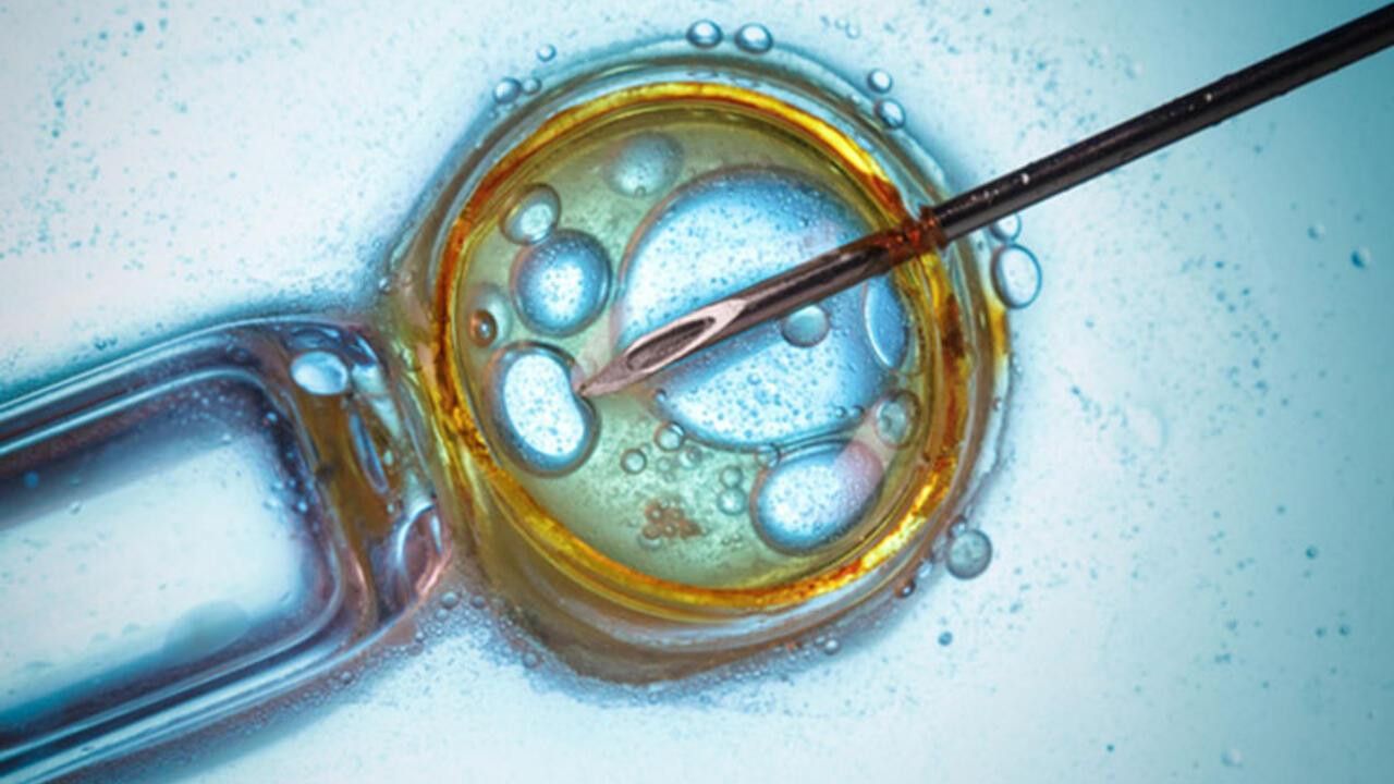 Tüp bebek kliniğine 'kalıtsal hastalıklı embriyo' suçlaması