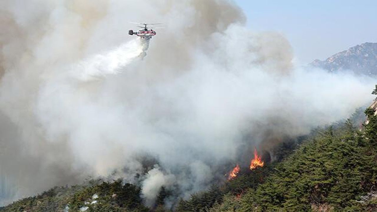 Güney Kore’nin başkentinde orman yangını: 120 ev tahliye edildi