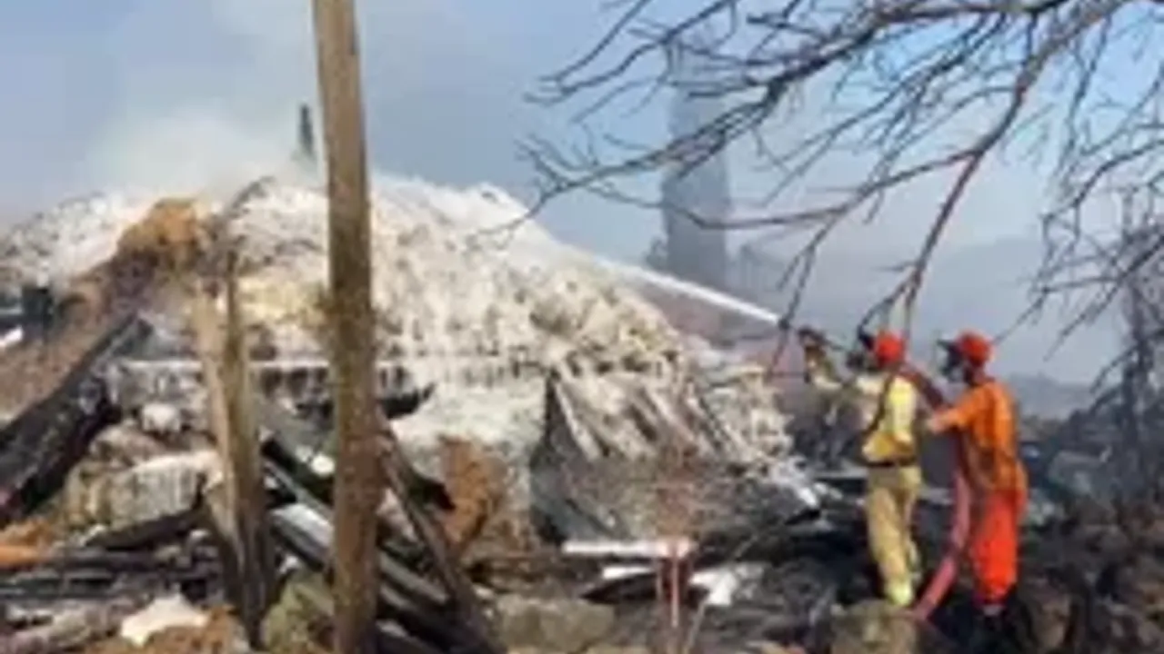 Bolu'da yangın yerleşim alanına sıçradı: Evler tahliye edildi