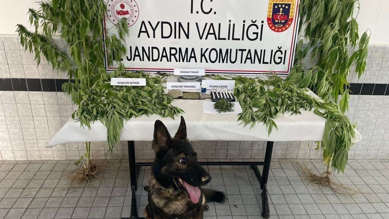 Aydın'da uyuşturucu operasyonu: 27 tutuklama