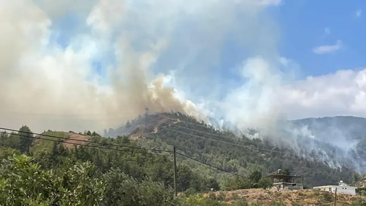 Hatay ve Balıkesir'de orman yangını