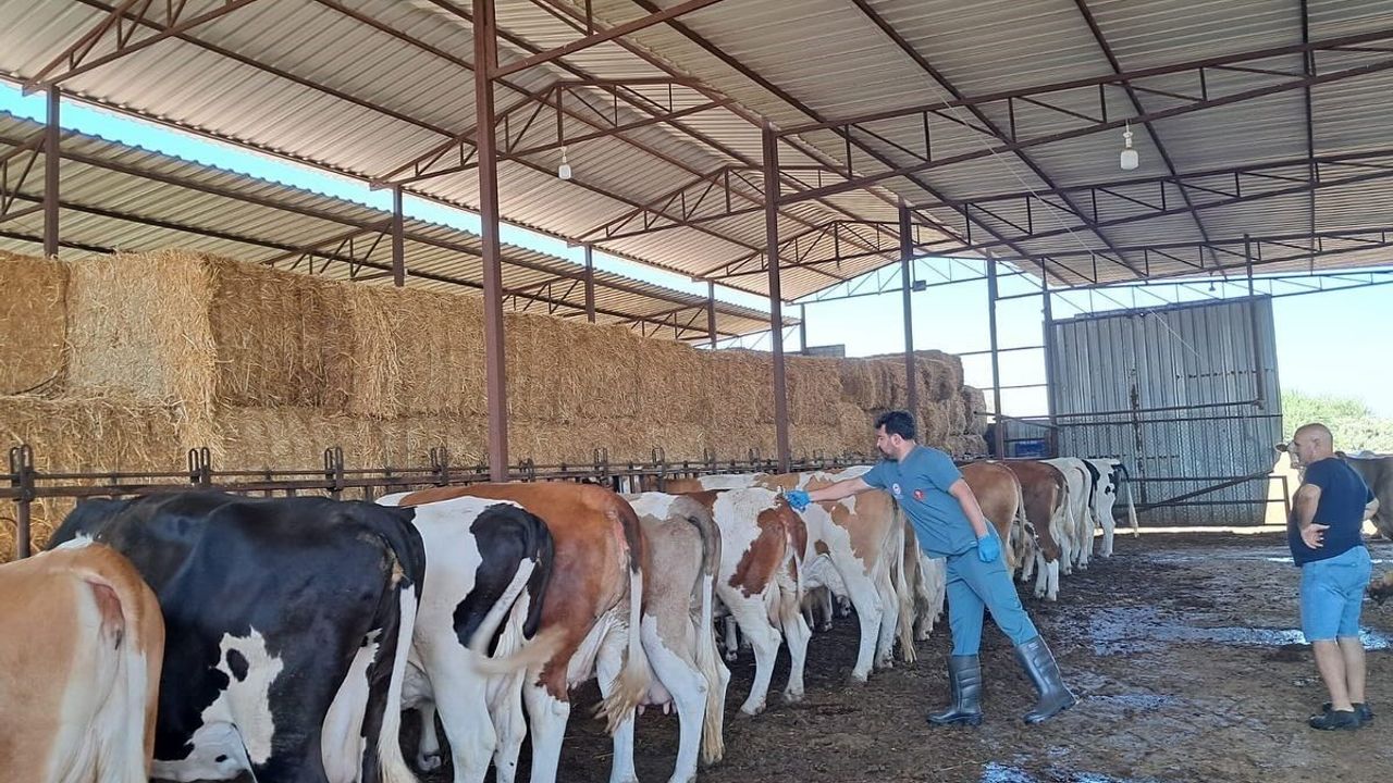 Nazilli’de 13 mahalle karantinaya alındı