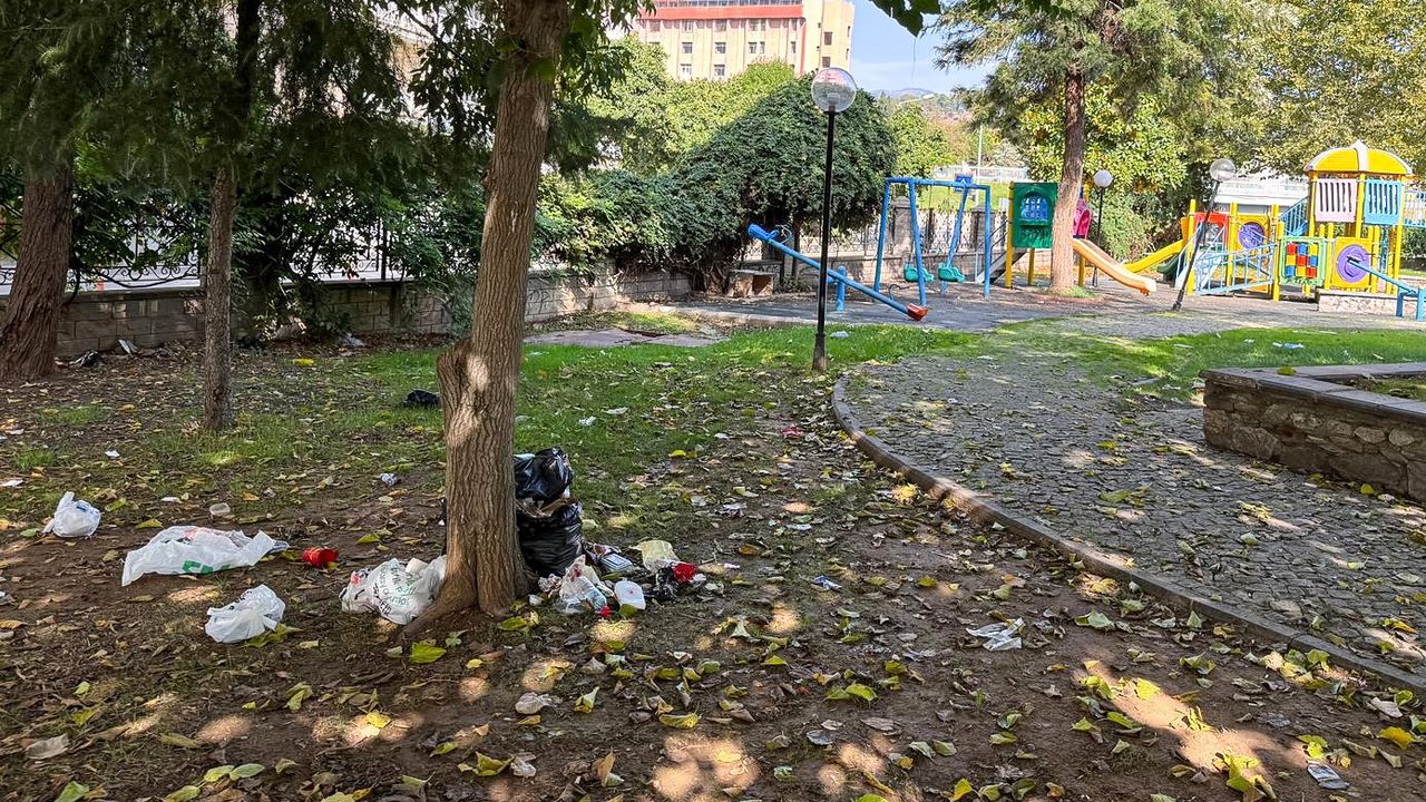 AK Partili Aydın BŞB'nin sorumluluğundaki park, kaderine terk edildi