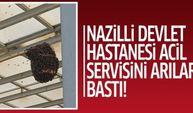 Nazilli Devlet Hastanesi acil servisini arılar bastı