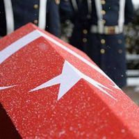 Güncel
