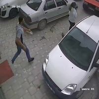 Güncel