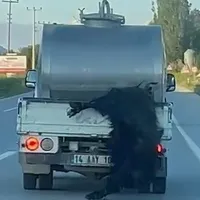 Güncel