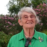 Güncel