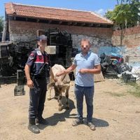 ASAYİŞ