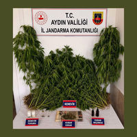 ASAYİŞ