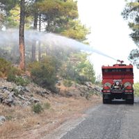 Güncel