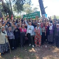 Güncel