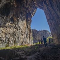 Güncel