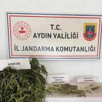ASAYİŞ