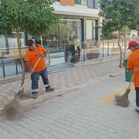 Güncel
