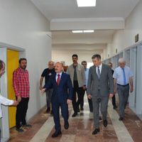 Güncel