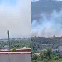 Güncel