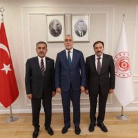 Güncel