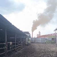 Güncel
