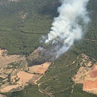 ASAYİŞ