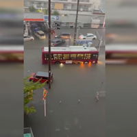 DÜNYA