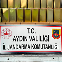 ASAYİŞ