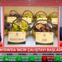 AYDIN