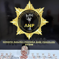 ASAYİŞ
