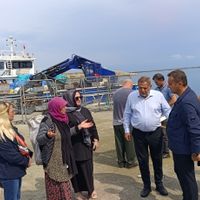 Güncel