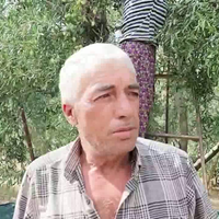 Güncel