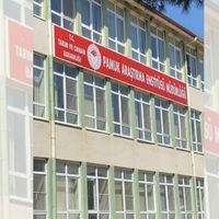 Güncel